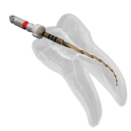 Ace endodontice rotative Wizard Navigator - basic set