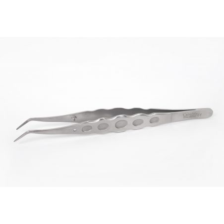 Pensa dentara maner anatomic