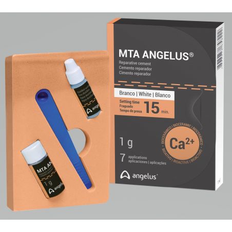 Ciment endodontic MTA Angelus 1g