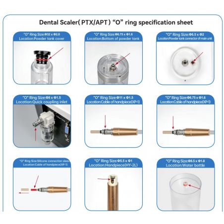 Set revizie / oringuri Statie profilaxie PTX