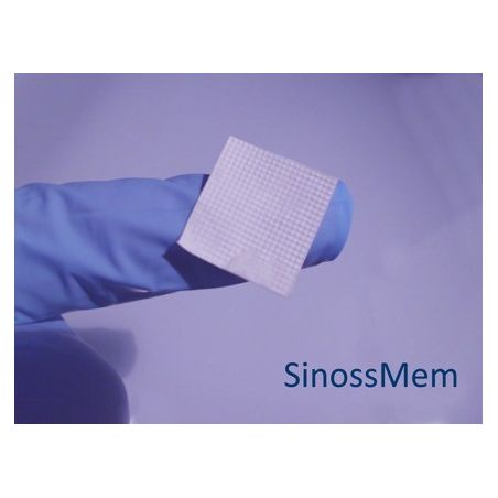 Membrana colagen SinossMem 23 x 23 mm