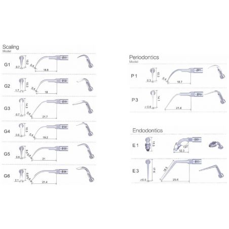 Ansa detartraj subgingival G1