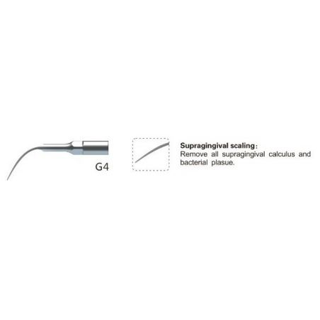 Ansa detartraj interproximal G4