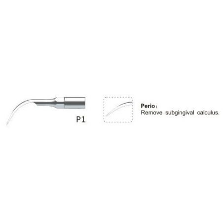 Ansa periodontica subgingivala P1