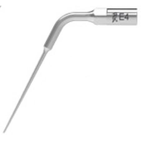 Ansa endodontica E4
