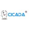 Cicada Dental