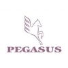 Pegasus Dental